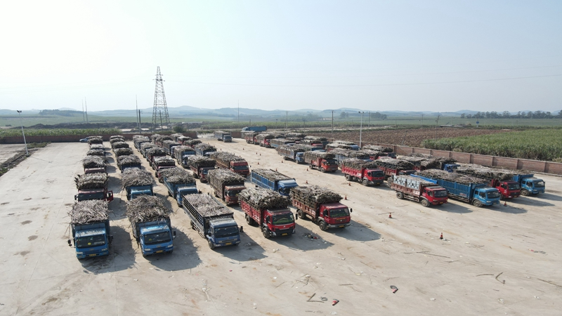 �����á�(�й���)���޹�˾����